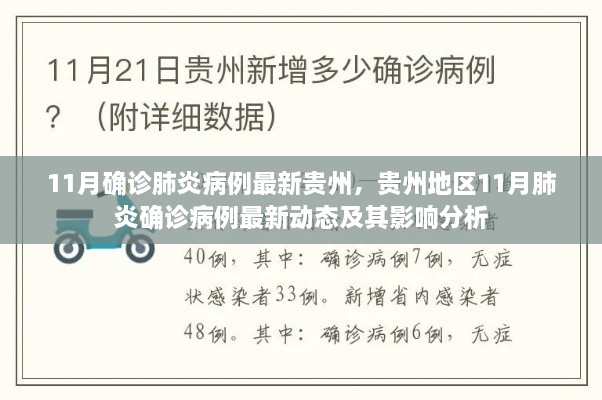 贵州地区11月肺炎确诊病例最新动态与影响分析