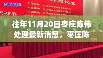 枣庄陈伟的成长之路，变化、学习与自信的力量——最新消息报道（往年11月20日）