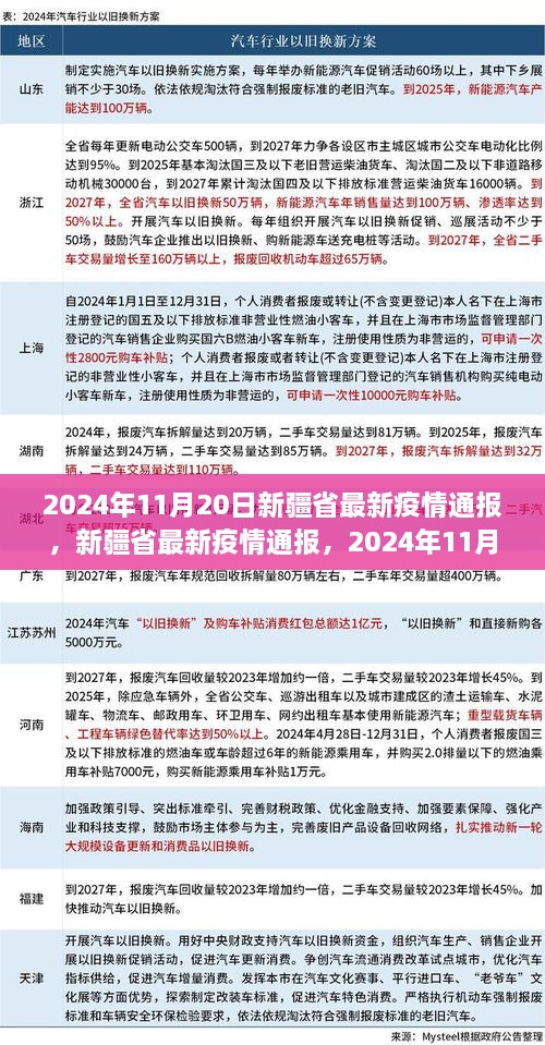 2024年11月20日新疆省疫情最新通报，抗疫进展与影响概述