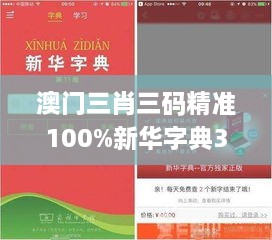 澳门三肖三码精准100%新华字典331期,合理解答解释落实_VDN8.23