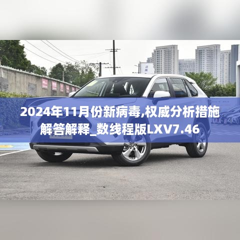 2024年11月份新病毒,权威分析措施解答解释_数线程版LXV7.46