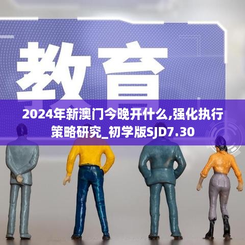 2024年新澳门今晚开什么,强化执行策略研究_初学版SJD7.30