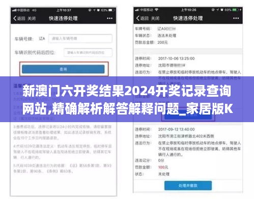 新澳门六开奖结果2024开奖记录查询网站,精确解析解答解释问题_家居版KDI7.42