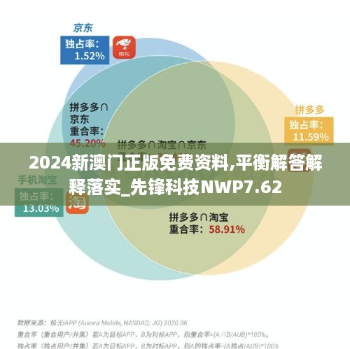 2024新澳门正版免费资料,平衡解答解释落实_先锋科技NWP7.62