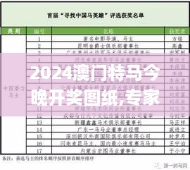 2024澳门特马今晚开奖图纸,专家解析意见_速达版DWT3.34