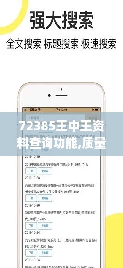 72385王中王资料查询功能,质量解析解答解释策略_理想版IIN4.57