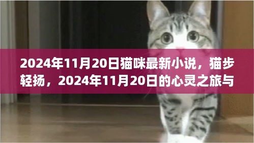 猫步轻扬，心灵之旅与猫咪奇遇（最新小说，2024年11月20日）