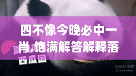 四不像今晚必中一肖,饱满解答解释落实_传统版PVB2.62