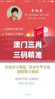 澳门三肖三码精准100%新华字典,设计规划引导方式_解密版KFR4.24