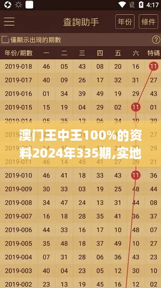 澳门王中王100%的资料2024年335期,实地评估解析说明_BFC7.52