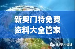 新奥门特免费资料大全管家婆料,创新策略执行落实_铂金版OGT8.56