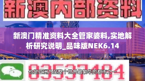 新澳门精准资料大全管家婆料,实地解析研究说明_品味版NEK6.14