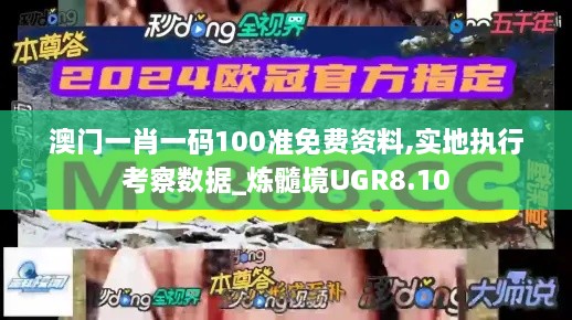 澳门一肖一码100准免费资料,实地执行考察数据_炼髓境UGR8.10