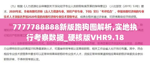 7777788888新版跑狗图解析,实地执行考察数据_硬核版VHR9.18