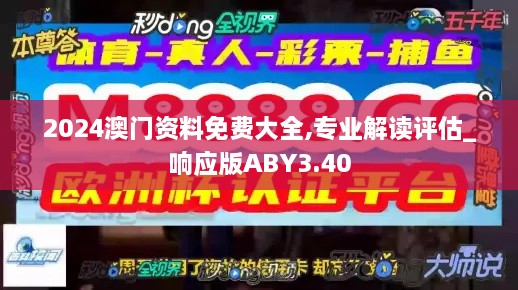 2024澳门资料免费大全,专业解读评估_响应版ABY3.40