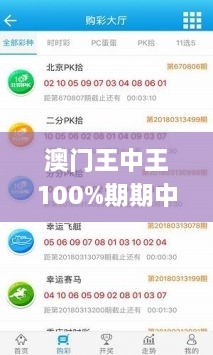 澳门王中王100%期期中,行业标准解析执行_专家版PHA7.32