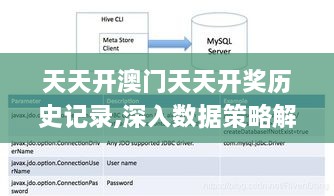 天天开澳门天天开奖历史记录,深入数据策略解析_瞬间版NIL4.38