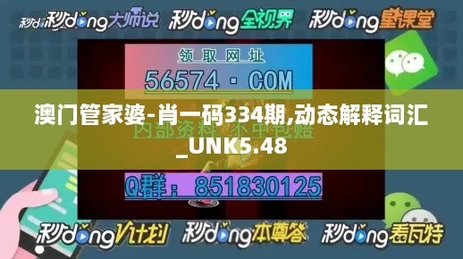 澳门管家婆-肖一码334期,动态解释词汇_UNK5.48