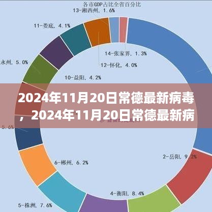 常德最新病毒探讨与解析，多方观点下的探讨与深度解读