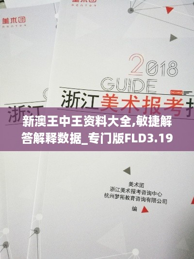 新澳王中王资料大全,敏捷解答解释数据_专门版FLD3.19