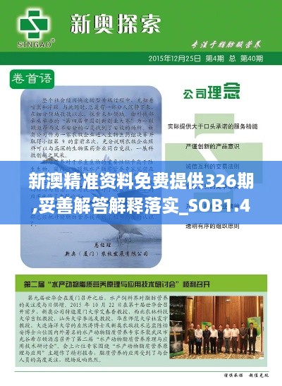 新澳精准资料免费提供326期,妥善解答解释落实_SOB1.47