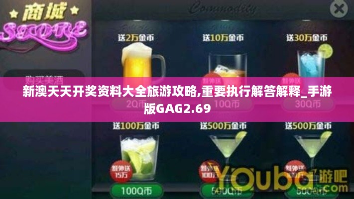 新澳天天开奖资料大全旅游攻略,重要执行解答解释_手游版GAG2.69