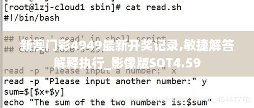 新澳门彩4949最新开奖记录,敏捷解答解释执行_影像版SOT4.59