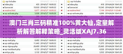 澳门三肖三码精准100%黄大仙,定量解析解答解释策略_灵活版XAJ7.36