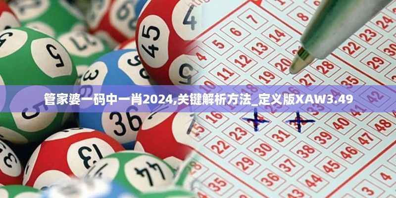 管家婆一码中一肖2024,关键解析方法_定义版XAW3.49