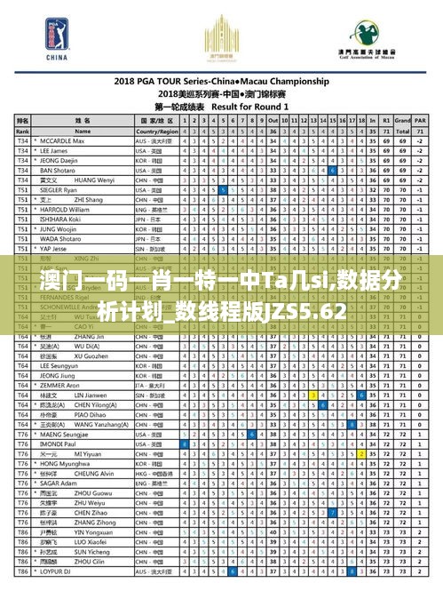 澳门一码一肖一特一中Ta几si,数据分析计划_数线程版JZS5.62