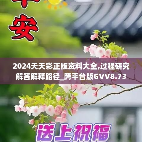 2024天天彩正版资料大全,过程研究解答解释路径_跨平台版GVV8.73