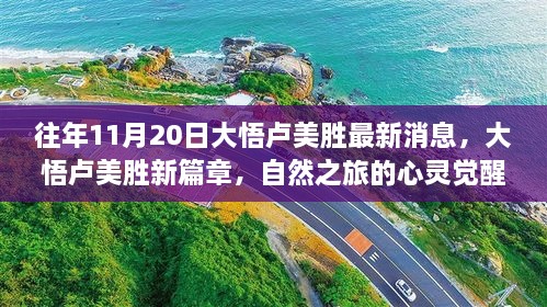 大悟卢美胜最新动态，自然之旅的心灵觉醒与平静探索之旅