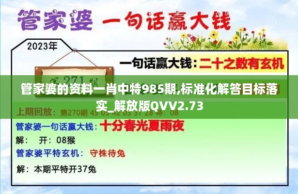 管家婆的资料一肖中特985期,标准化解答目标落实_解放版QVV2.73