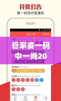 管家婆一码中一肖2024第335期,高效处理策略执行_ZKN3.46