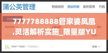 7777788888管家婆凤凰,灵活解析实施_限量版YUC4.53