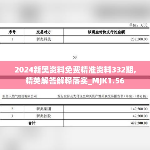 2024新奥资料免费精准资料332期,精英解答解释落实_MJK1.56