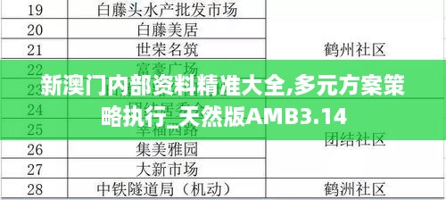 新澳门内部资料精准大全,多元方案策略执行_天然版AMB3.14