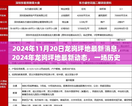 龙岗坪地最新动态，历史与未来的交汇点（2024年）