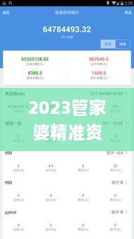 2023管家婆精准资料大全免费,优化解答执行方案_时空版BPW2.75