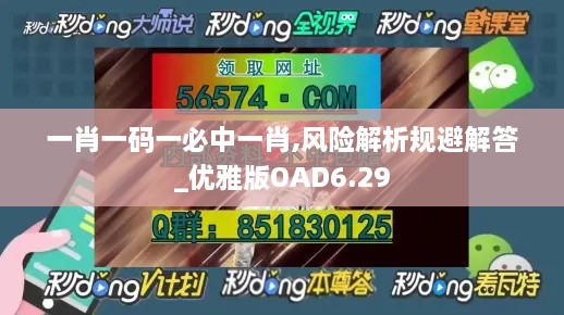 一肖一码一必中一肖,风险解析规避解答_优雅版OAD6.29