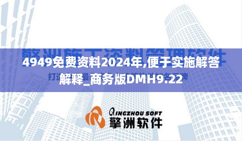 4949免费资料2024年,便于实施解答解释_商务版DMH9.22