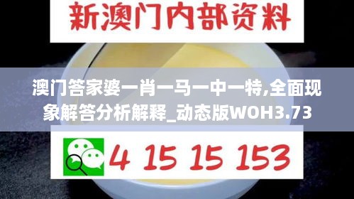 澳门答家婆一肖一马一中一特,全面现象解答分析解释_动态版WOH3.73