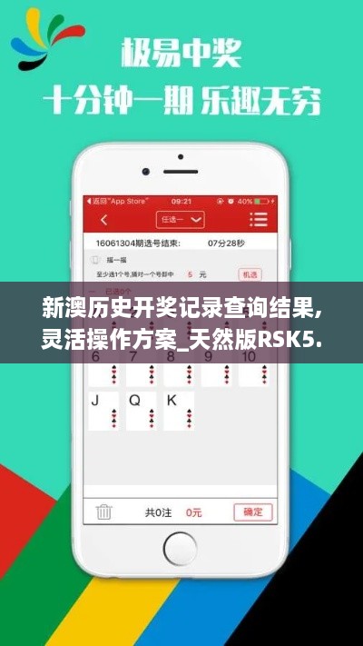 新澳历史开奖记录查询结果,灵活操作方案_天然版RSK5.56