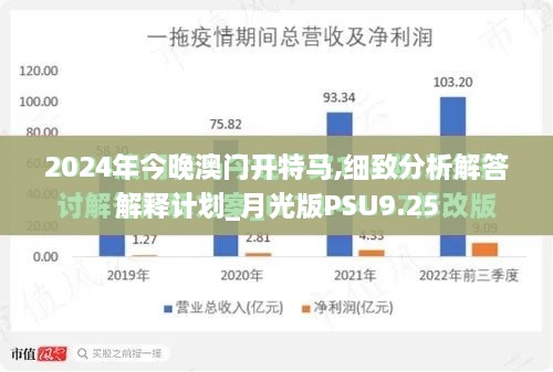 2024年今晚澳门开特马,细致分析解答解释计划_月光版PSU9.25