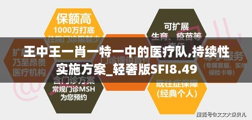 王中王一肖一特一中的医疗队,持续性实施方案_轻奢版SFI8.49