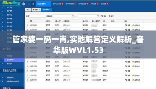 管家婆一码一肖,实地解答定义解析_奢华版WVL1.53