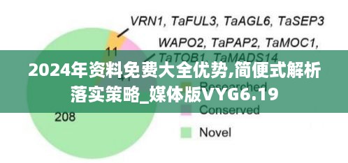 2024年资料免费大全优势,简便式解析落实策略_媒体版VYG6.19