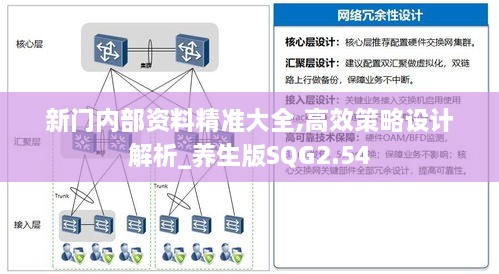 新门内部资料精准大全,高效策略设计解析_养生版SQG2.54