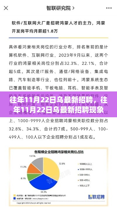 关于乌招聘现象深度解析，最新招聘趋势与个人立场探讨