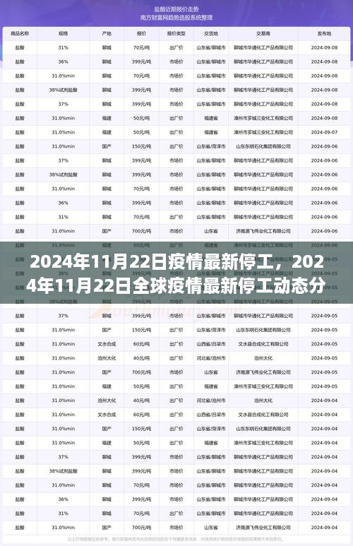 2024年11月22日疫情最新停工，2024年11月22日全球疫情最新停工动态分析